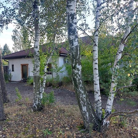 Apartment Gnubbel Am Wald 魏斯瓦塞尔 外观 照片