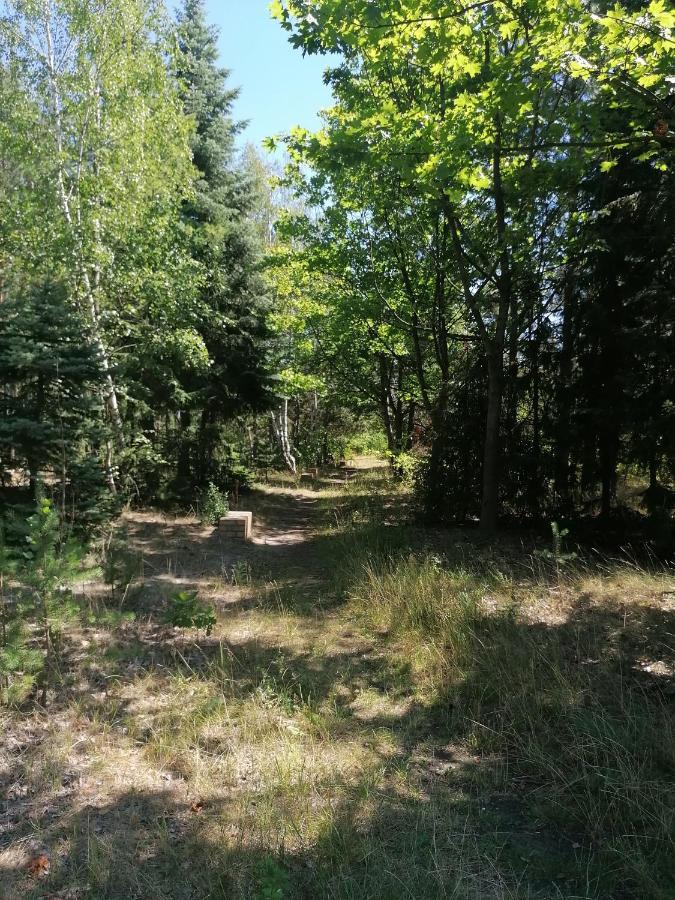 Apartment Gnubbel Am Wald 魏斯瓦塞尔 外观 照片